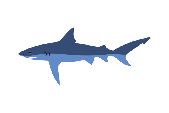 Animal Asset - Shark Illustration Svg: A Deep Dive into This Design Resource