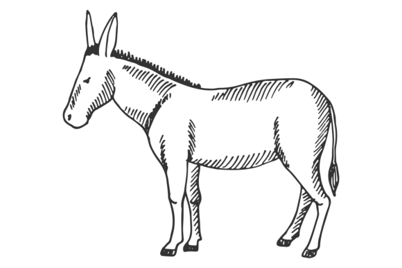 Bringing a Playful Spirit to Your Work with Donkey Sketch