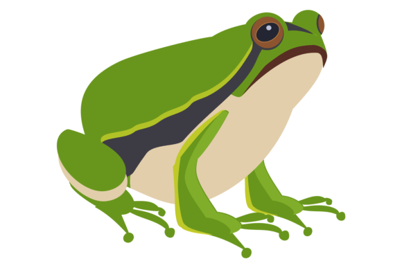 Capturing Nature's Charm: The Green Toad Wild Nature Animal Asset