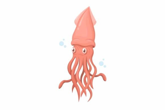 Exploring the Playful World of Squid Animal Species Cartoon Vectors