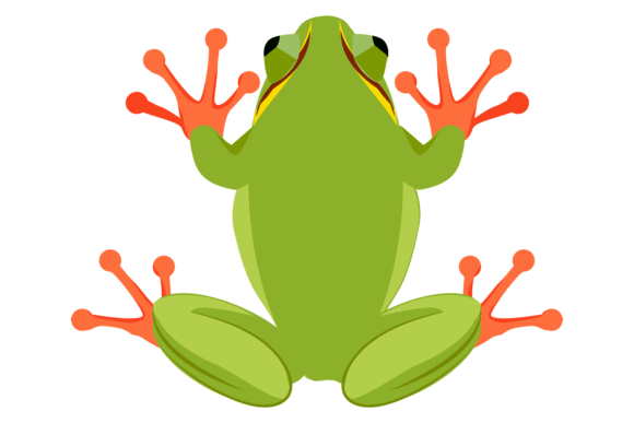 Green Frog: The Jumping Wild Animal Font for Bold Branding