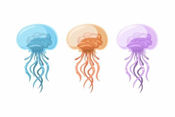 Jellyfish Animal Species Collection Set: A Modern Typography Asset