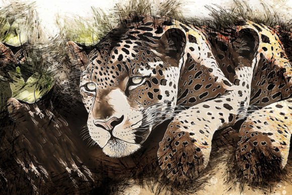 Printable Animal Graphics #27: A Designer's Go-To for Versatile Projects