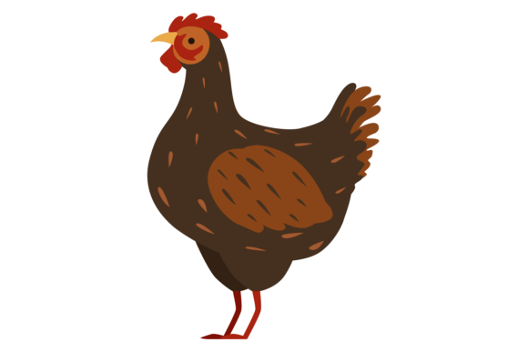 The Unexpected Charm of the Rooster Cute Animal Farm Chicken Bird